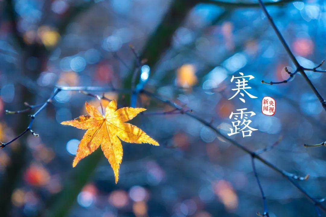 寒露时节的句子（冷秋露降，收获季节悄然来临）