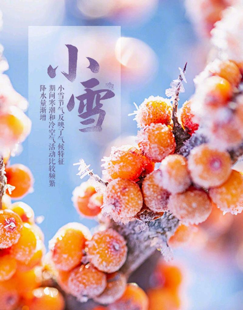 小雪祝福文案（温暖心灵的短语大全）