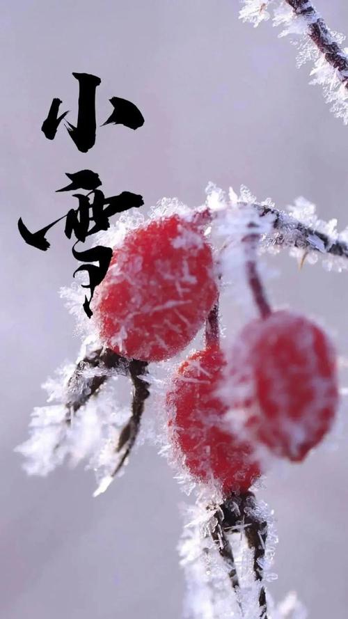 有关小雪节气祝福语朋友圈句子的句子怎么写（小雪美丽祝福：冬日暖心芬芳）