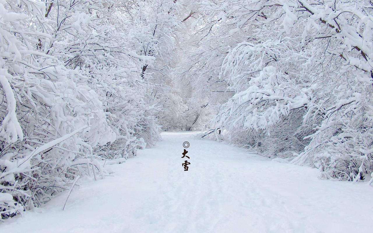 关于小雪节气的古诗句（白雪皑皑，银装素裹；迎冬储备，庆冬至来）