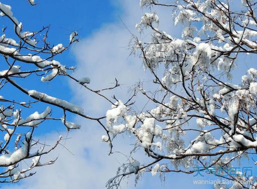 关于小雪节气的古诗句（白雪皑皑，银装素裹；迎冬储备，庆冬至来）