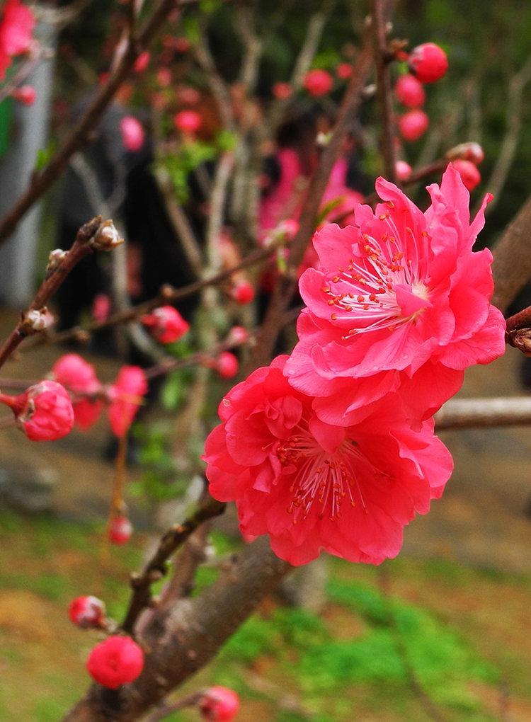 母爱如春雨，滋濡万物心（10首母爱诗词名句）