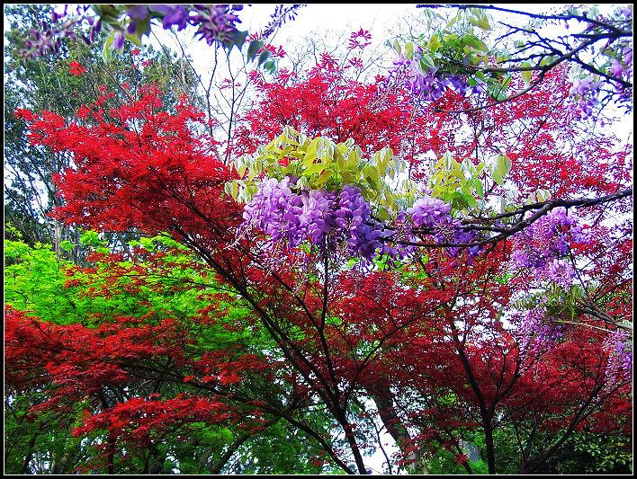 青山绿水，桃花烂漫（20首春天古诗句）