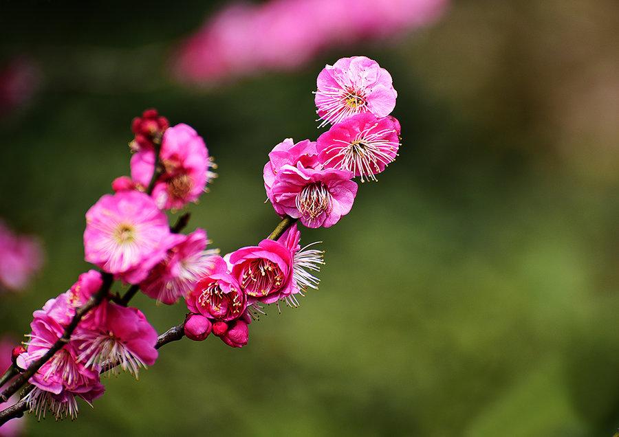 智慧诗中藏，江山入锦囊（16首励志诗词名句）