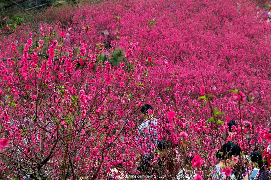 春色浓还淡，山川秀且妍（10首三月经典古诗）