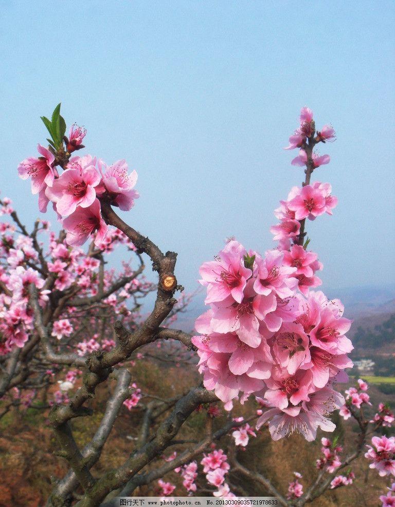 春色浓还淡，山川秀且妍（10首三月经典古诗）