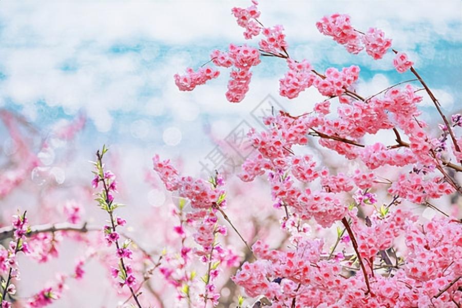 万家日初红，喜种丰年兆（30首惊蛰古诗）