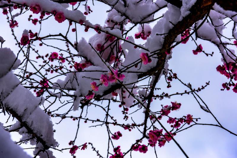 带你赏遍冬雪，俯看沧海涌银湾（15首冬雪古诗经典）