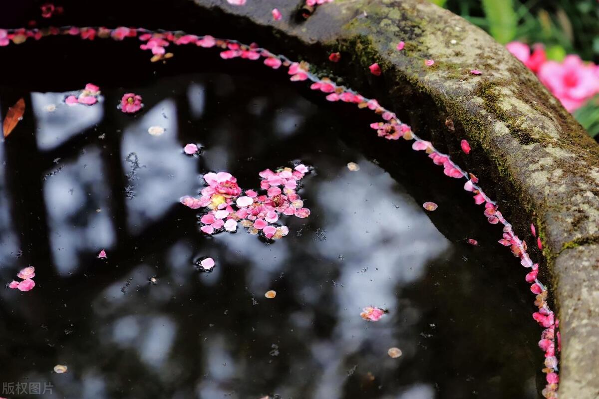 关于落花的古诗词名句（10首落花诗词）