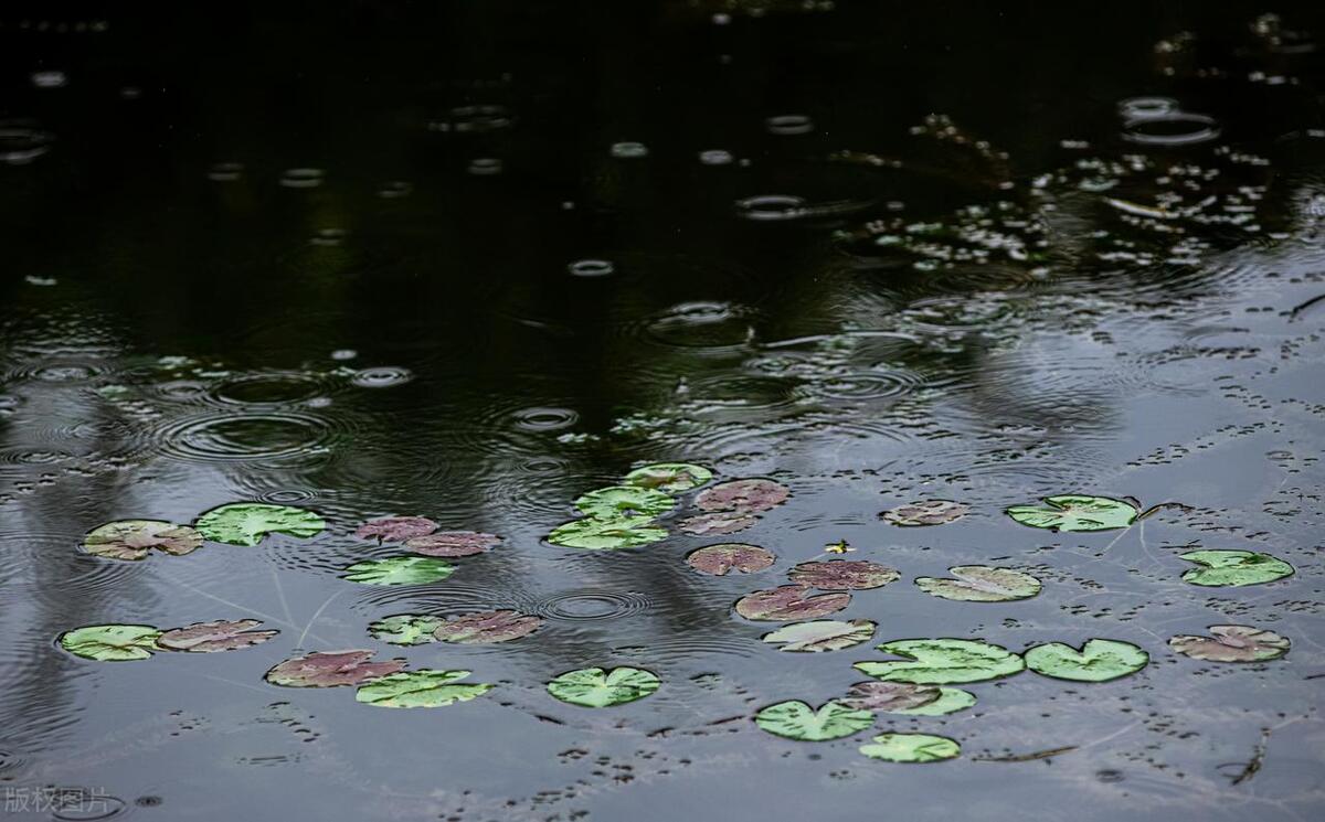 关于谷雨的著名诗词名句（10首谷雨诗词唯美）