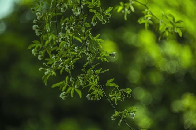 关于谷雨的著名诗词名句（10首谷雨诗词唯美）