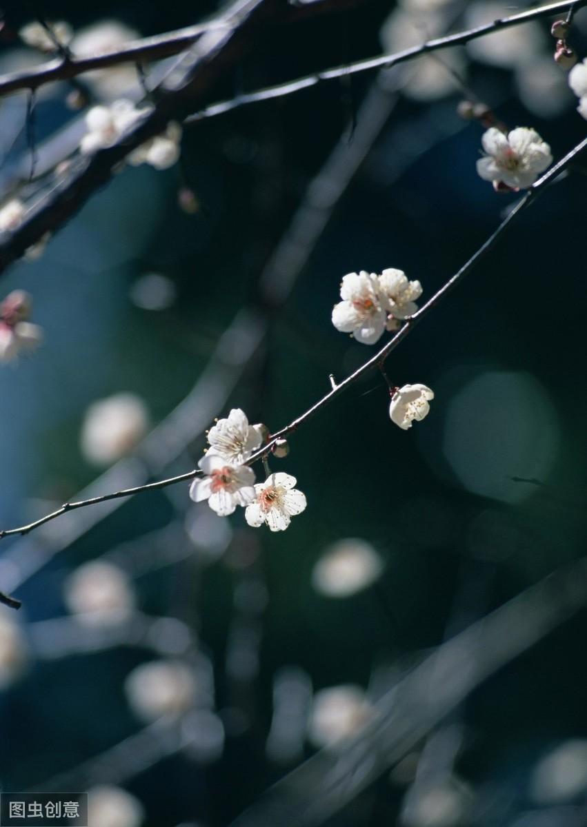 先说爱的先不爱，后动心的不死心（4首春日思念古诗词）