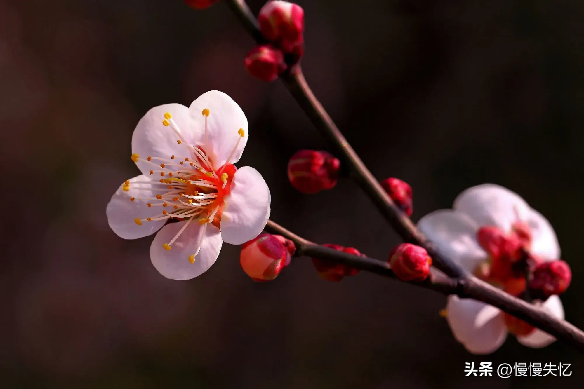 春野浮绿，万物新生（20首春日诗词优美）