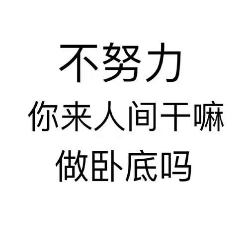 时刻提醒自己要努力的名言警句（时刻提醒自己奋斗的唯美短句）