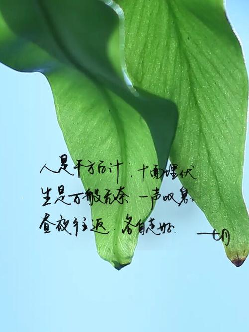 关于十年的经典语录（十年流年，芳华依旧）