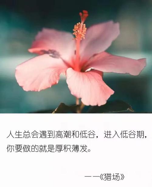 生活磨砺的句子说说心情短语（磨砺心性，见证成长）