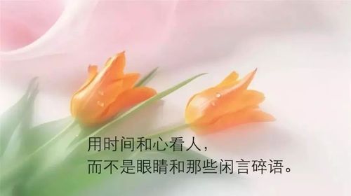 有关生活过的实在的句子的短句（生命的美丽：生活的点滴）