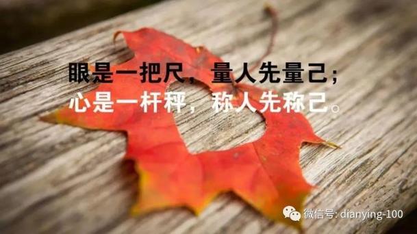 有关生活感悟句子的短句文案（从慌乱到平静）