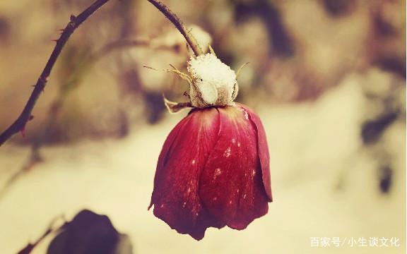 关于深夜失眠的说说（深夜失眠，感悟人生）