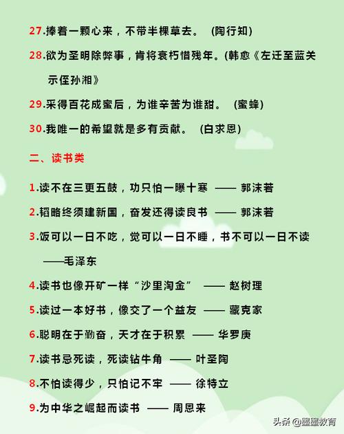 激励少年励志进取的名言（激活内心的力量——以少年激励为主题的名言警句）