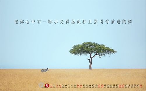 关于沙漠的唯美句子（沙漠的诗意）