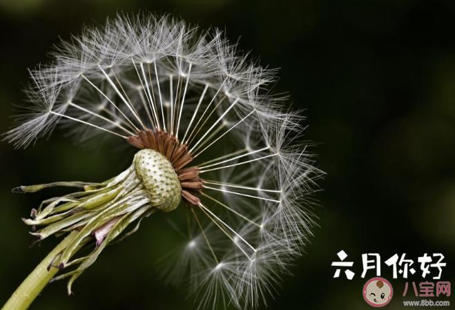 有关三月第一天朋友圈说说的句子（三月天，我们重拾初心）