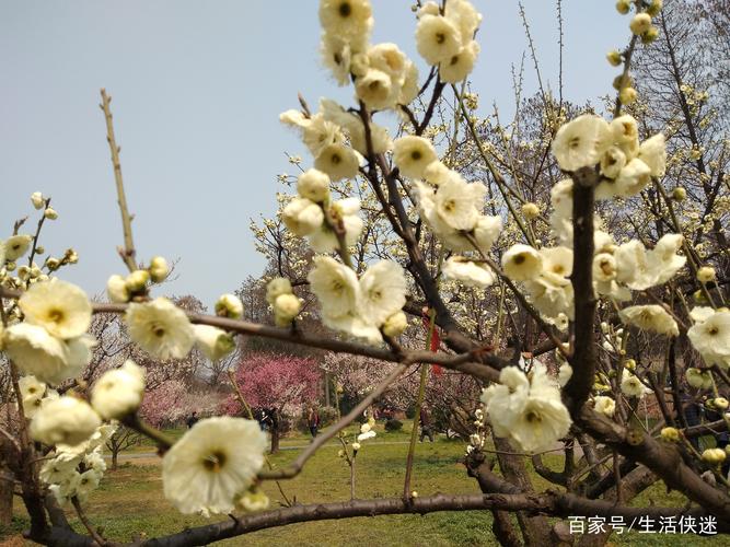 描述三月春暖花开的诗句（三月春暖花开，激发心灵的力量）