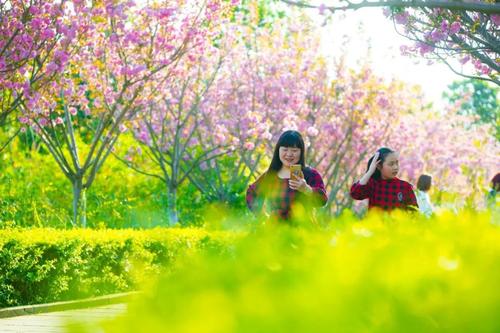 关于三八妇女节的幽默说说（红粉佳人，妇女节快乐）