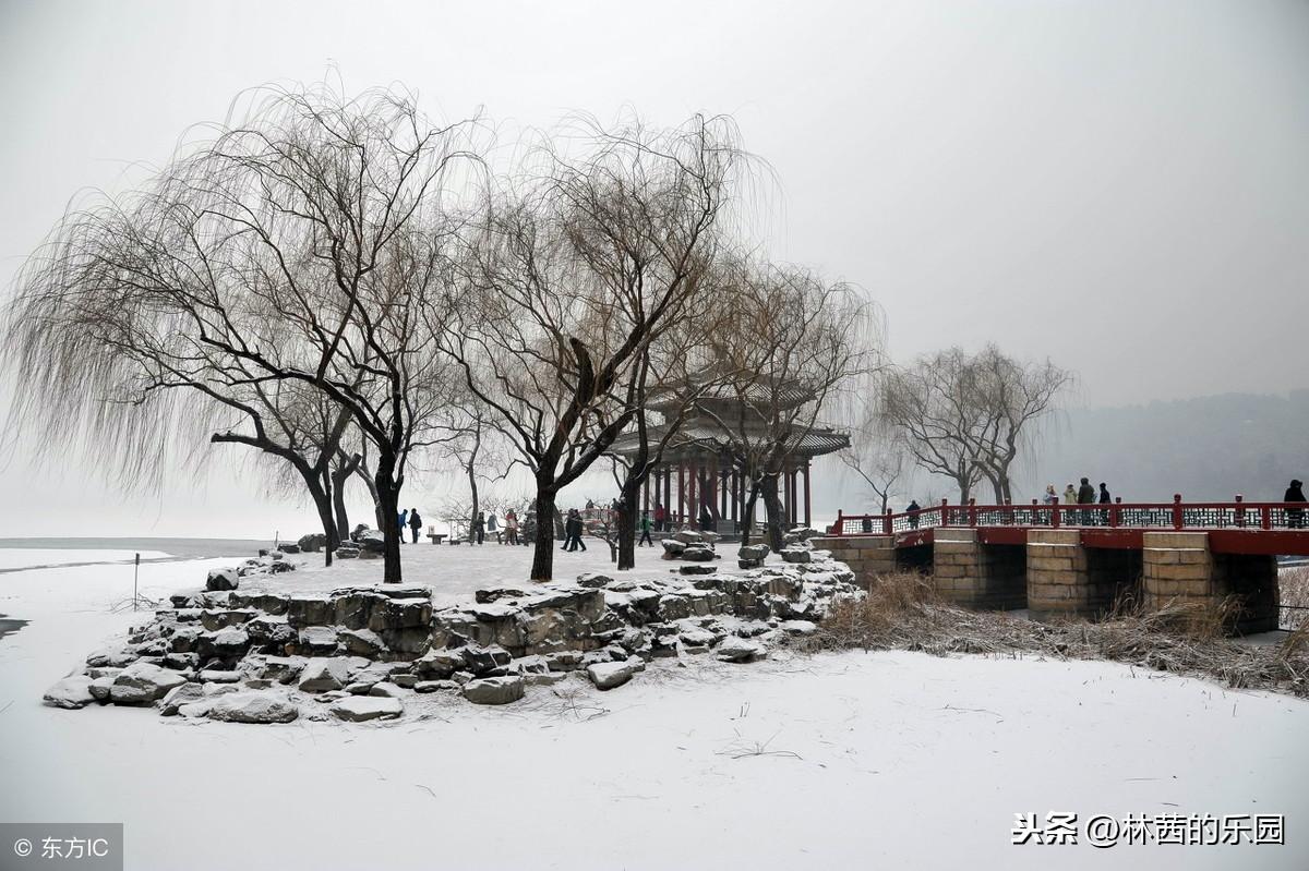 雪影映梅香，画意融诗情（推荐16首歌咏冬天的经典诗词）