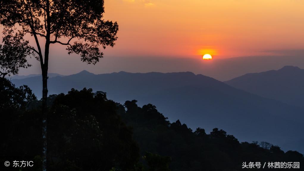 夕阳经典古诗有哪些（歌咏夕阳经典的8首诗词）