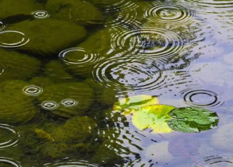 描写秋雨的诗词名句（十首初秋雨的诗词）