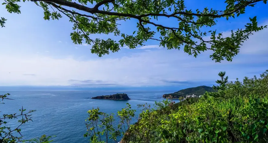 赞美夏至的诗词名句（十二首消夏的诗词）