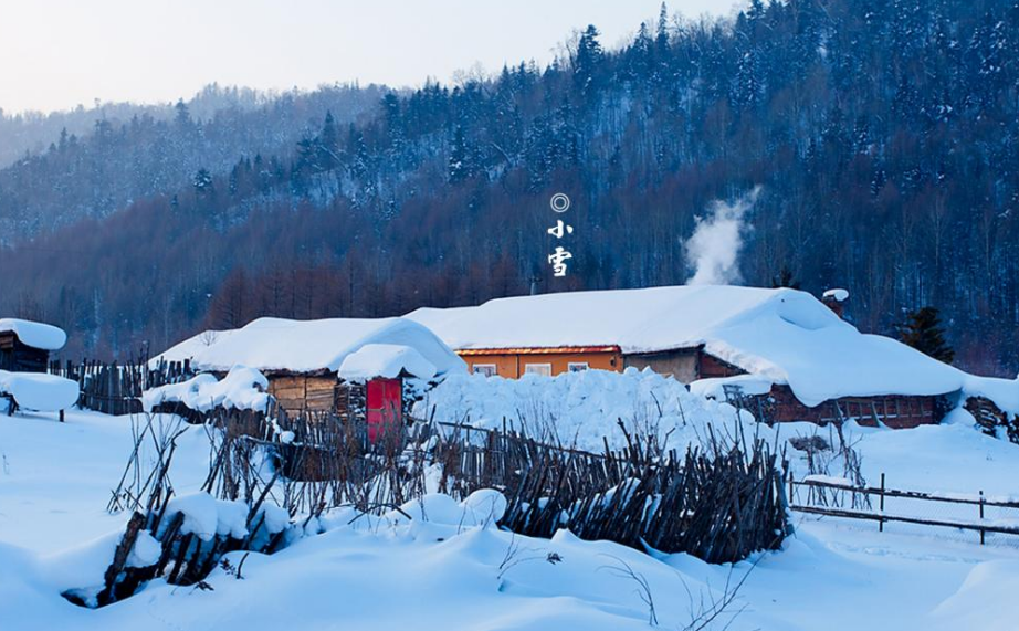 关于小雪经典古诗（十首小雪唯美诗词）