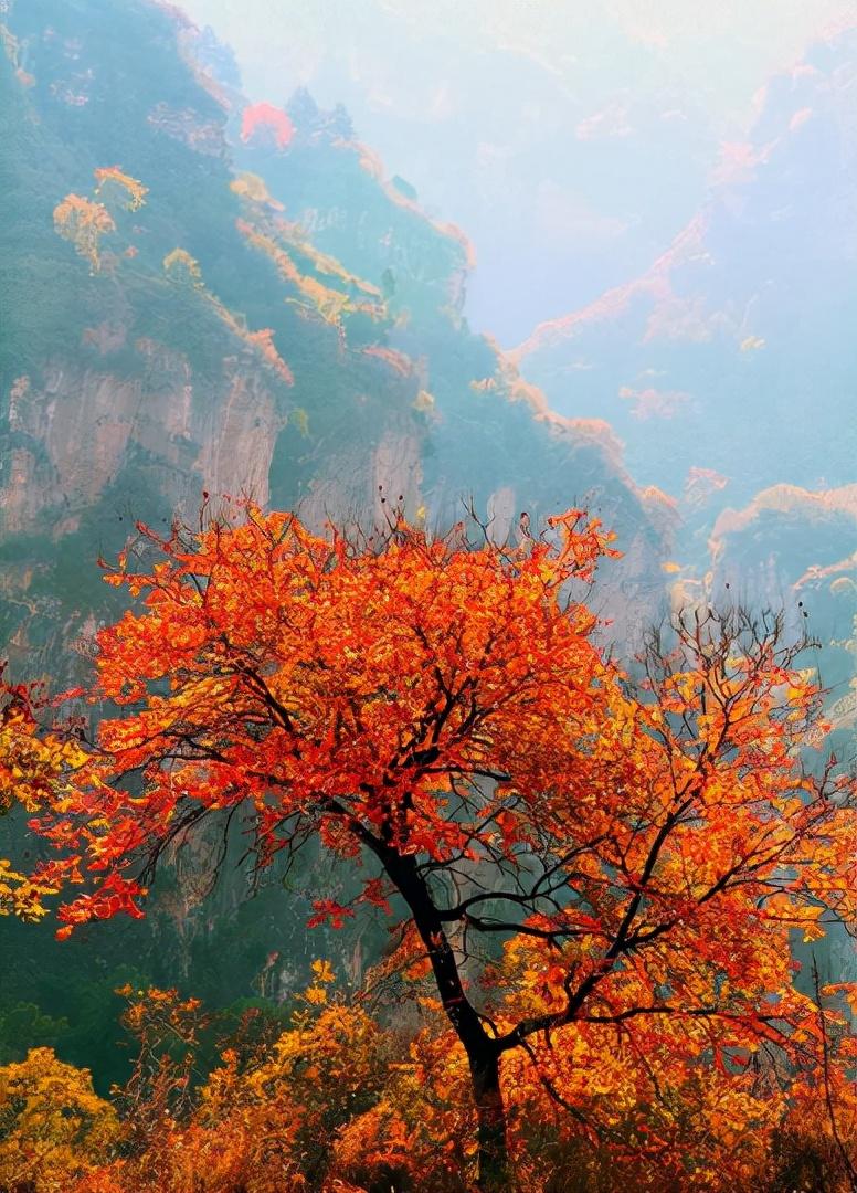 形容山林意境的诗句（十二首有关山行的诗词）