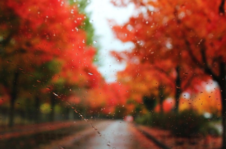 听雨经典古诗有哪些（十首听雨的诗词）