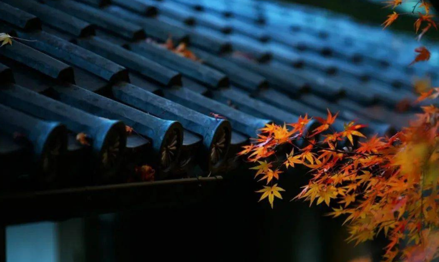 听雨经典古诗有哪些（十首听雨的诗词）