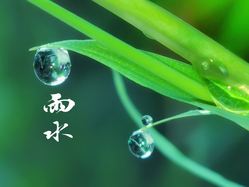 咏春雨经典的诗词（十首春雨的诗词）