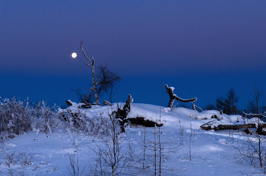 描写夜晚雪景的古诗词（十二首冬夜的诗词）