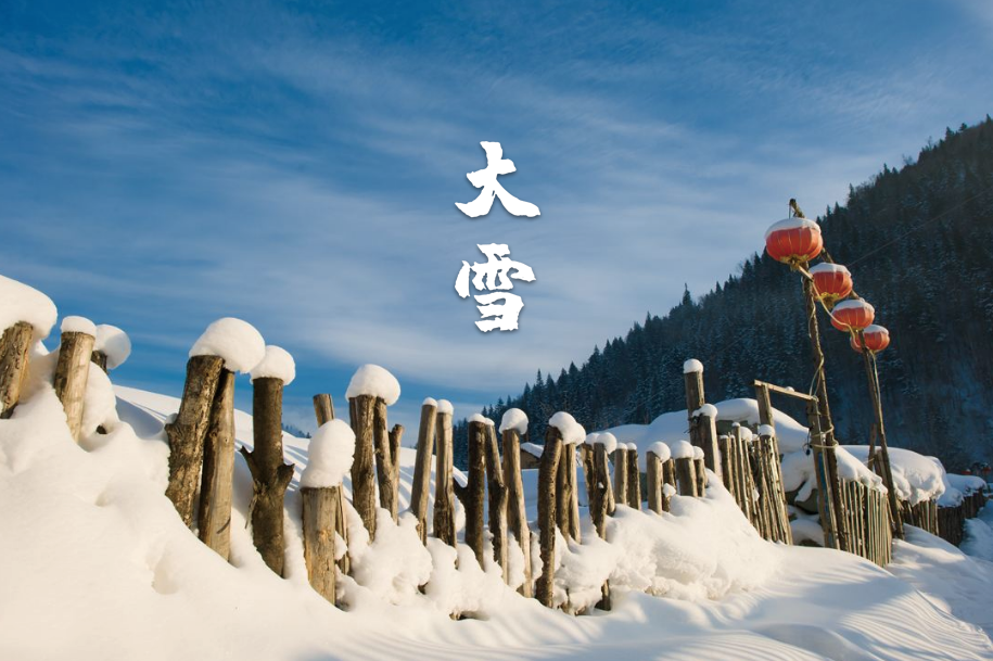 大雪唯美古诗大全（十二首大雪的诗词）