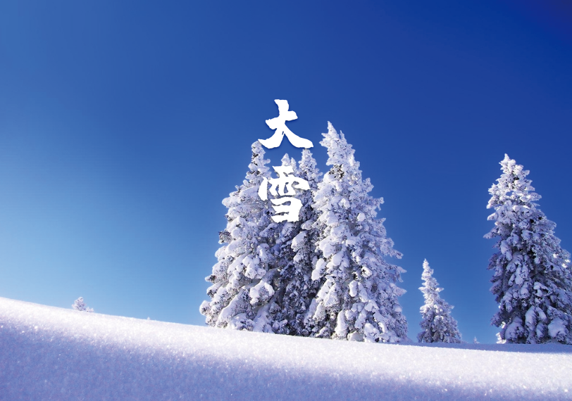 大雪唯美古诗大全（十二首大雪的诗词）