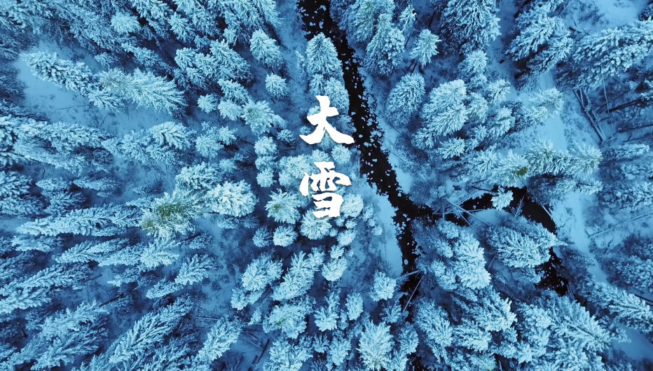 大雪唯美古诗大全（十二首大雪的诗词）