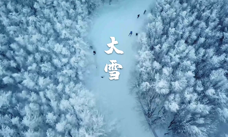 大雪唯美古诗大全（十二首大雪的诗词）