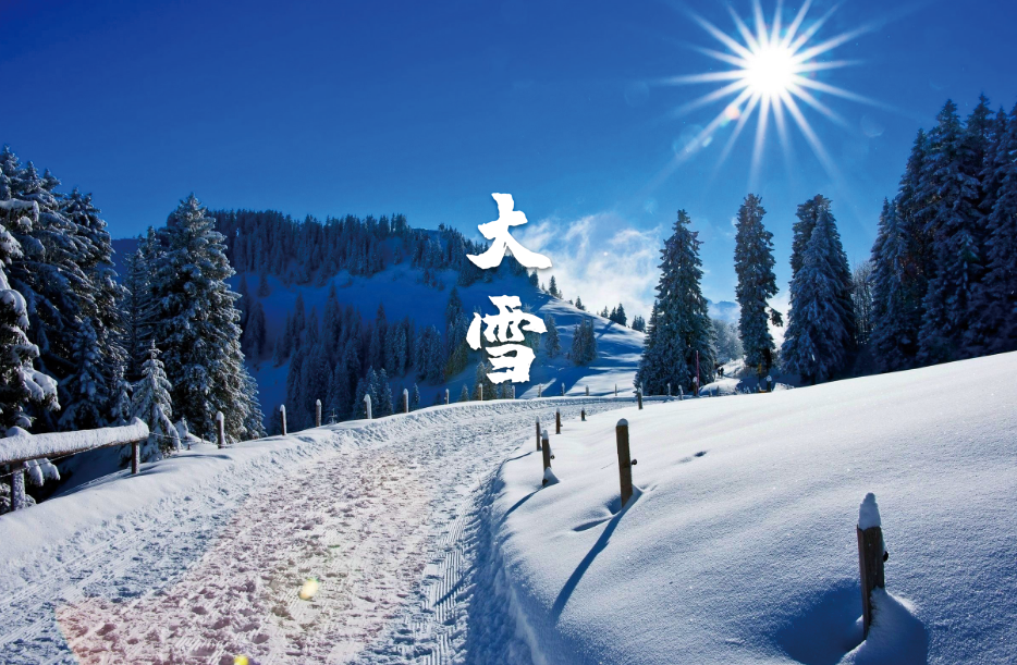 大雪唯美古诗大全（十二首大雪的诗词）