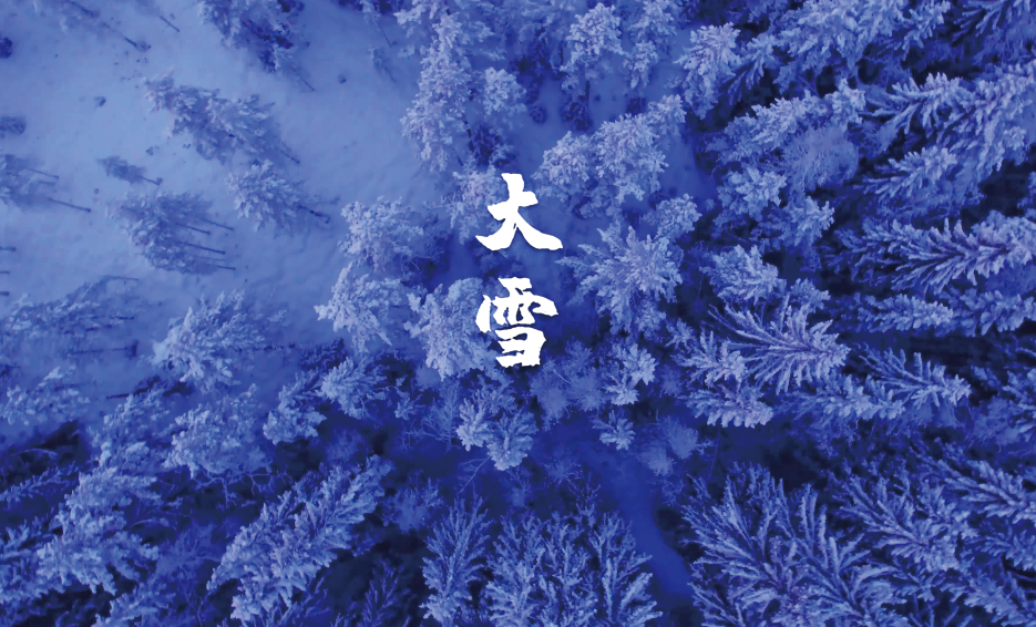 大雪唯美古诗大全（十二首大雪的诗词）