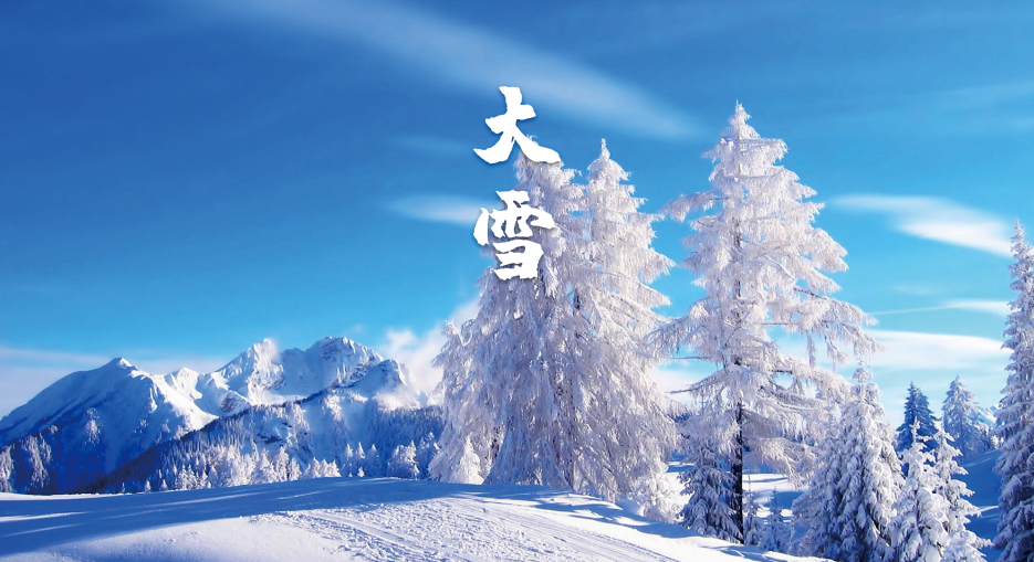 大雪唯美古诗大全（十二首大雪的诗词）