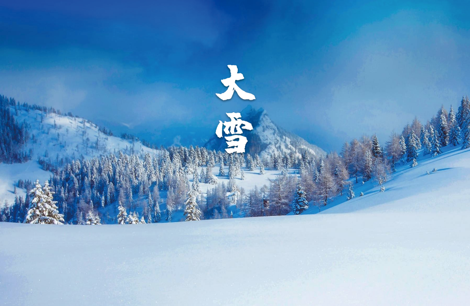 大雪唯美古诗大全（十二首大雪的诗词）