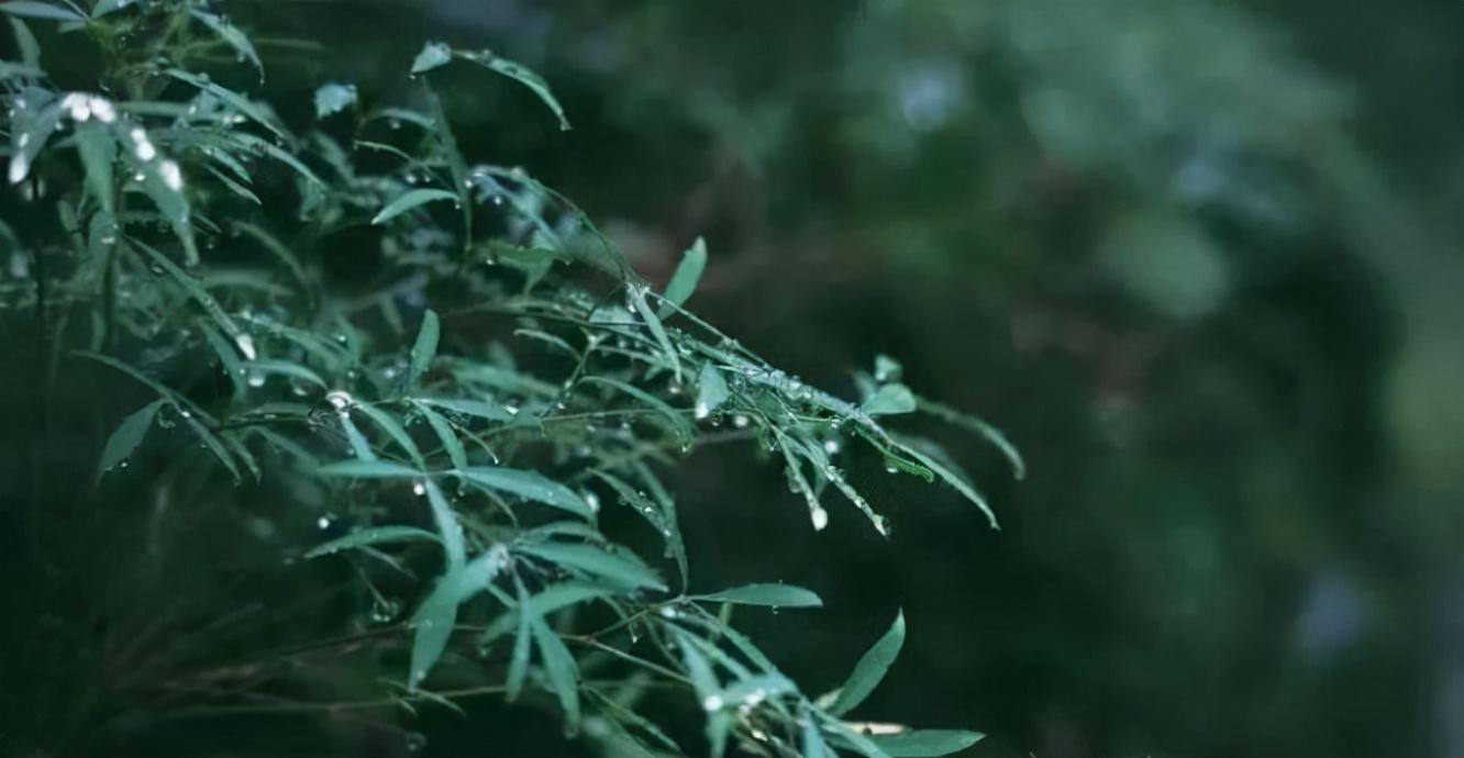 细雨做成秋，凉入心头（十首有关细雨的唯美诗词）