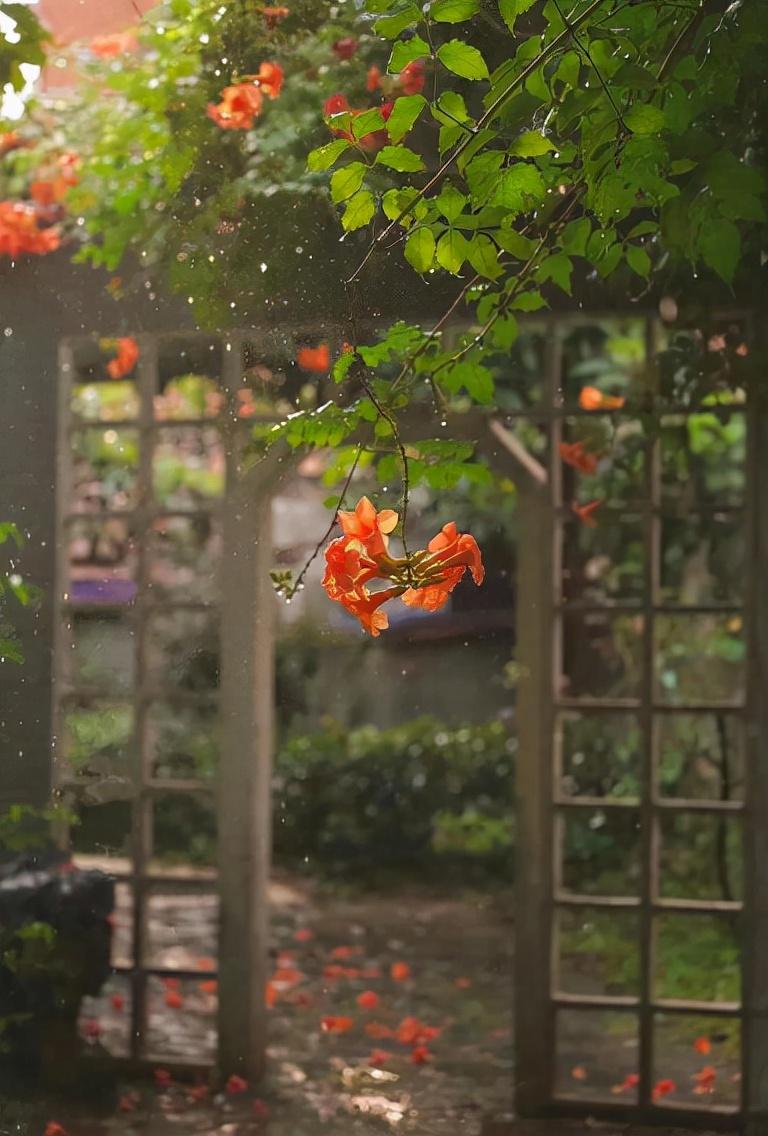 细雨做成秋，凉入心头（十首有关细雨的唯美诗词）