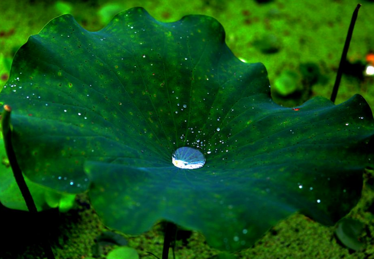 细雨做成秋，凉入心头（十首有关细雨的唯美诗词）