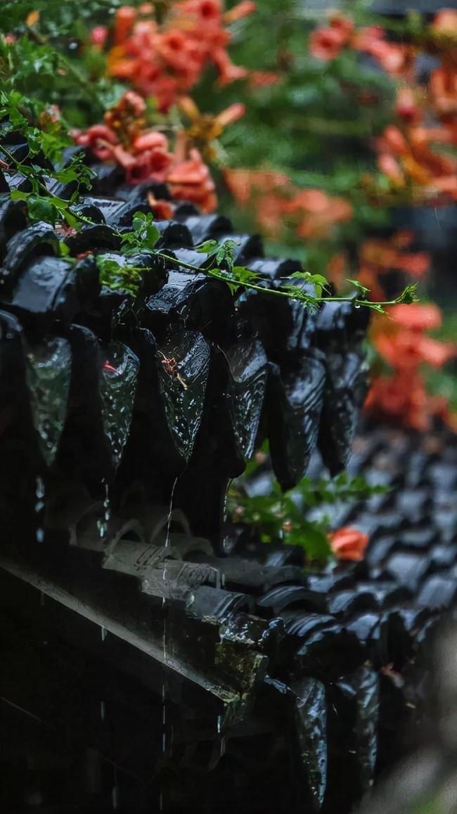 细雨做成秋，凉入心头（十首有关细雨的唯美诗词）